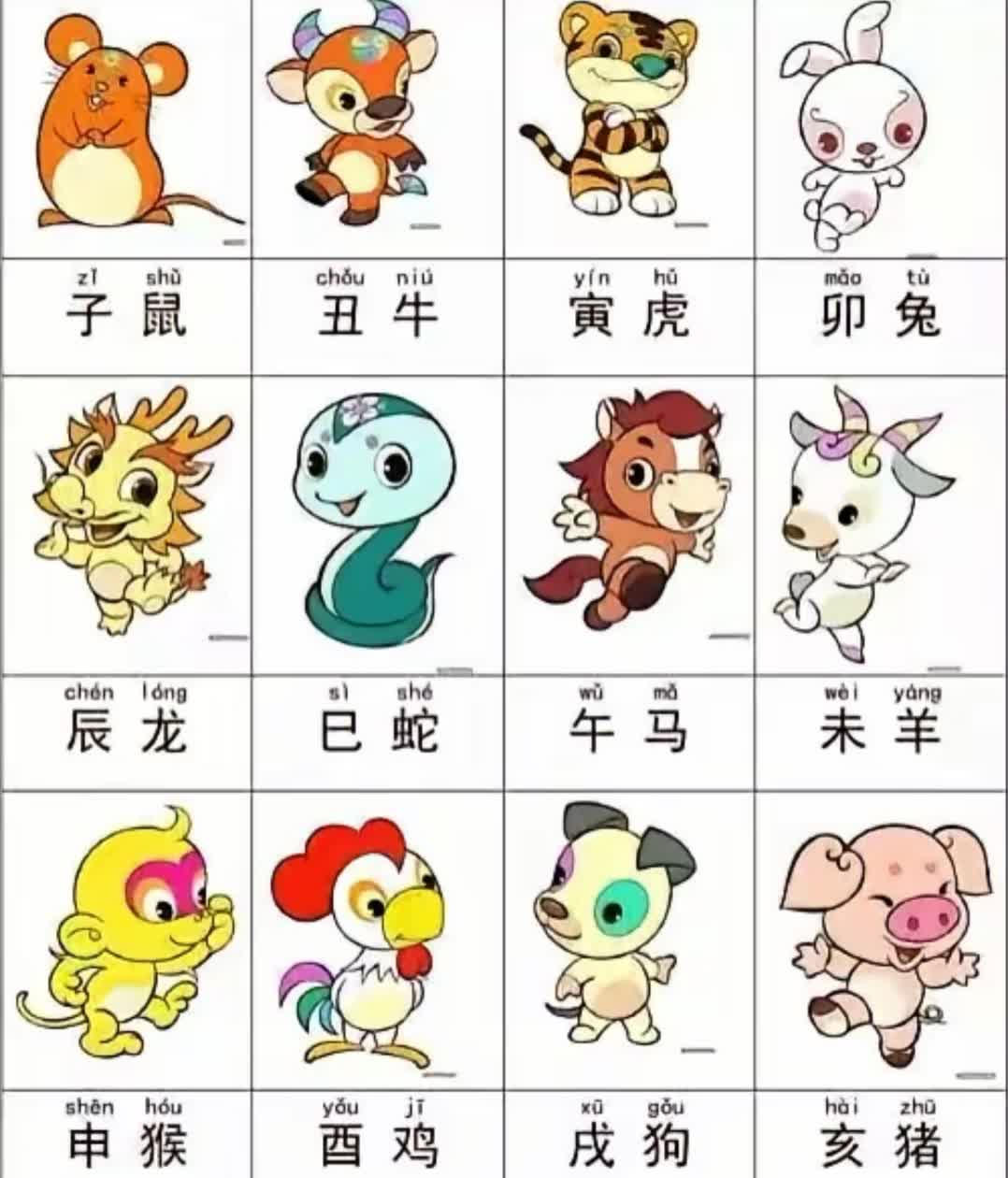 今期生肖頭還緑，一左一右数相反打一准确生肖,警惕虚假宣传落实,前沿解答解释落实