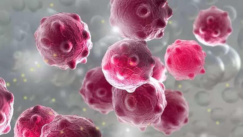 无边风月打一准确生肖,警惕虚假宣传、全面解答、深度解答解释落实 无边风月打一准确生肖,警惕虚假宣传、全面解答、深度解答解释落实