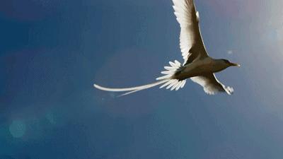 中特定须分一五，三二加六仍是大打一准确生肖警惕虚假宣传、全面解答与解释、实证解答解释落实