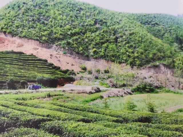 二七得三六相加，大王去找美人码打一准确生肖的警惕虚假宣传-全面解答解释落实