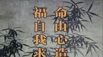 一一二三两重山从此一见不见外打一生肖、警惕虚假宣传-全面释义、精准解答解释落实